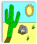 The Happy Cacti