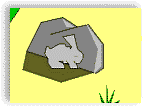 The Rabbit